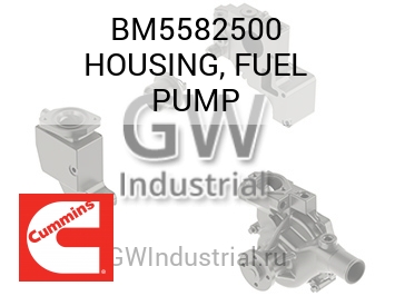 HOUSING, FUEL PUMP — BM5582500