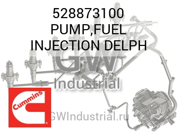 PUMP,FUEL INJECTION DELPH — 528873100