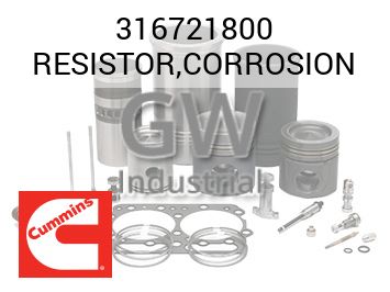 RESISTOR,CORROSION — 316721800