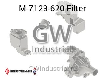 Filter — M-7123-620