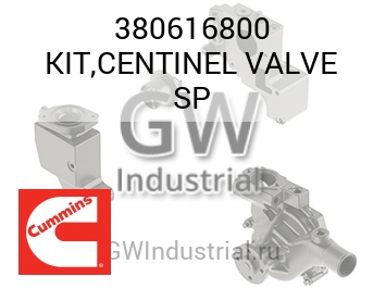 KIT,CENTINEL VALVE SP — 380616800