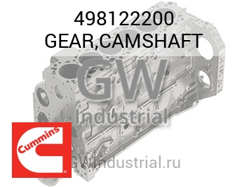 GEAR,CAMSHAFT — 498122200