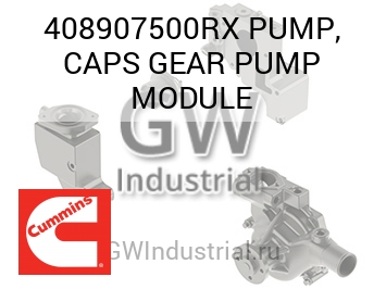PUMP, CAPS GEAR PUMP MODULE — 408907500RX