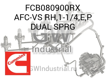 AFC-VS RH,1-1/4,E,P DUAL SPRG — FCB080900RX