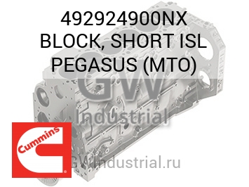 BLOCK, SHORT ISL PEGASUS (MTO) — 492924900NX
