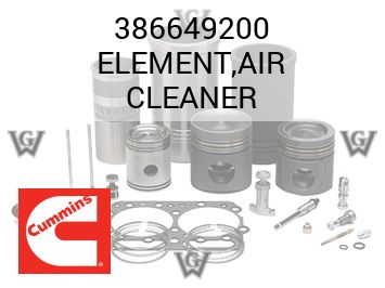 ELEMENT,AIR CLEANER — 386649200