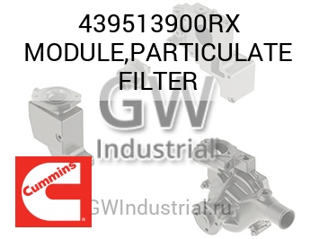MODULE,PARTICULATE FILTER — 439513900RX