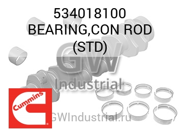 BEARING,CON ROD (STD) — 534018100