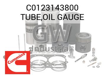 TUBE,OIL GAUGE — C0123143800