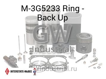 Ring - Back Up — M-3G5233
