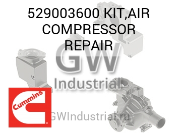 KIT,AIR COMPRESSOR REPAIR — 529003600