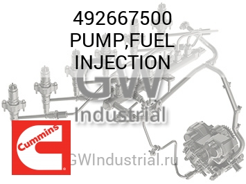 PUMP,FUEL INJECTION — 492667500