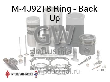 Ring - Back Up — M-4J9218
