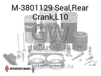 Seal,Rear Crank,L10 — M-3801129