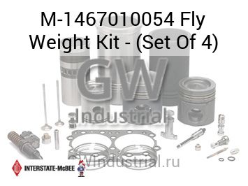Fly Weight Kit - (Set Of 4) — M-1467010054