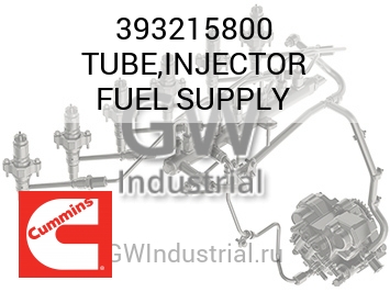 TUBE,INJECTOR FUEL SUPPLY — 393215800