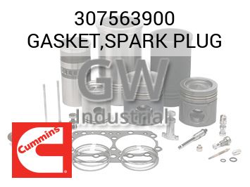 GASKET,SPARK PLUG — 307563900