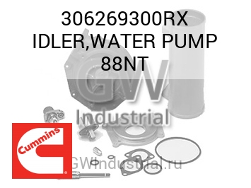 IDLER,WATER PUMP 88NT — 306269300RX