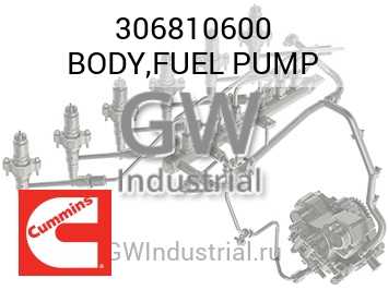 BODY,FUEL PUMP — 306810600