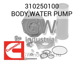 BODY,WATER PUMP — 310250100
