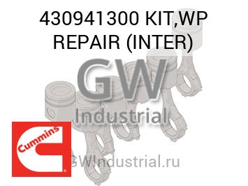 KIT,WP REPAIR (INTER) — 430941300