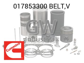 BELT,V — 017853300