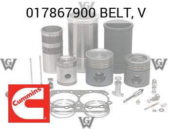 BELT, V — 017867900