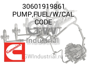 PUMP,FUEL/W/CAL CODE — 30601919861