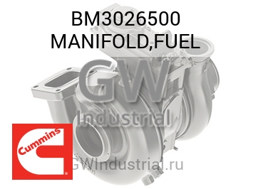MANIFOLD,FUEL — BM3026500