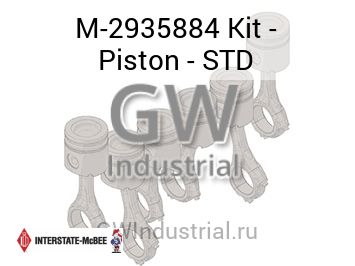 Kit - Piston - STD — M-2935884