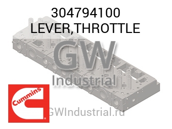 LEVER,THROTTLE — 304794100