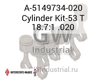 Cylinder Kit-53 T 18.7:1 .020 — A-5149734-020