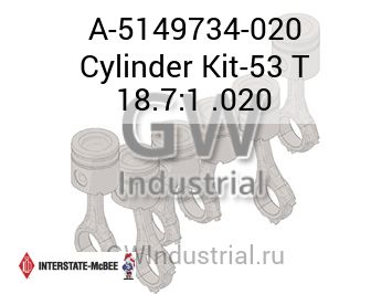 КОМПЛЕКТ ЦПГ 53 T 18.7:1 .020
