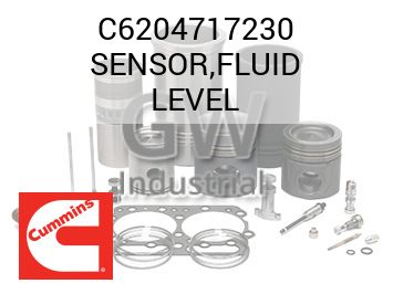 SENSOR,FLUID LEVEL — C6204717230