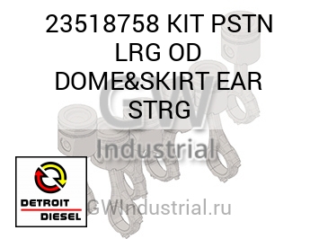 KIT PSTN LRG OD DOME&SKIRT EAR STRG — 23518758