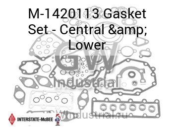 Gasket Set - Central & Lower — M-1420113