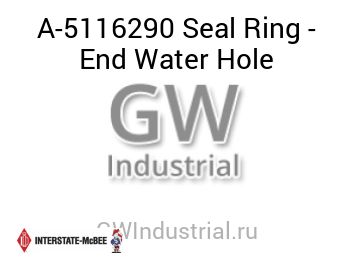 Seal Ring - End Water Hole — A-5116290
