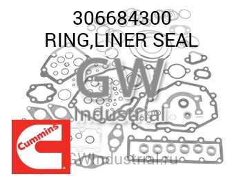 RING,LINER SEAL — 306684300