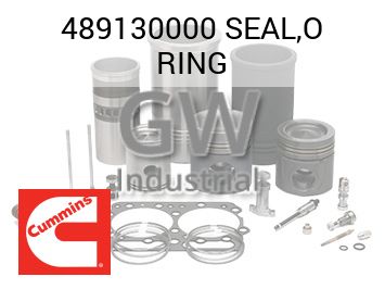 SEAL,O RING — 489130000