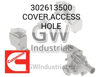 COVER,ACCESS HOLE — 302613500