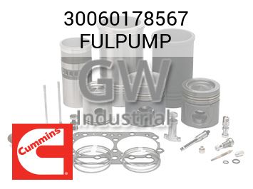 FULPUMP — 30060178567