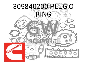 PLUG,O RING — 309840200