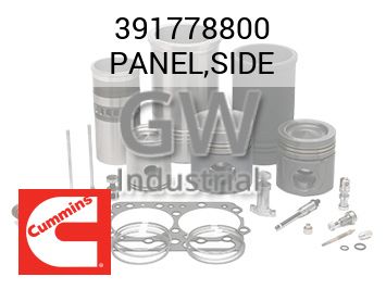 PANEL,SIDE — 391778800
