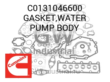GASKET,WATER PUMP BODY — C0131046600