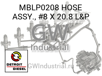 HOSE ASSY., #8 X 20.8 L&P — MBLP0208