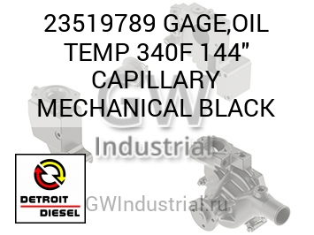 GAGE,OIL TEMP 340F 144