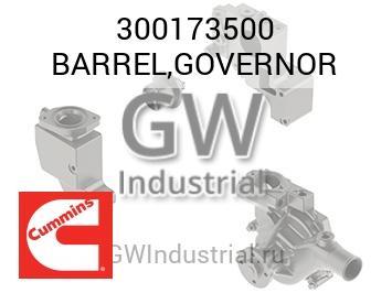 BARREL,GOVERNOR — 300173500