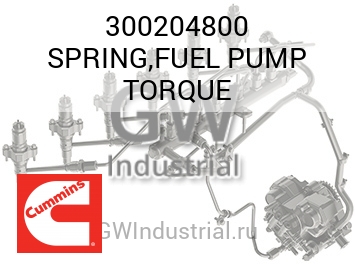 SPRING,FUEL PUMP TORQUE — 300204800