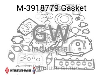 Gasket — M-3918779