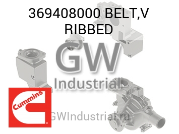 BELT,V RIBBED — 369408000